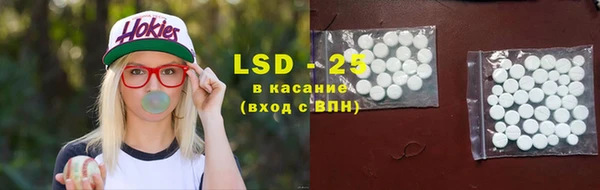 винт Алзамай