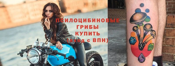 винт Алзамай